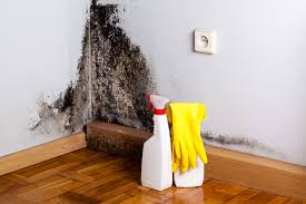 Mold Remediation for Vacation Homes in Wickenburg, AZ